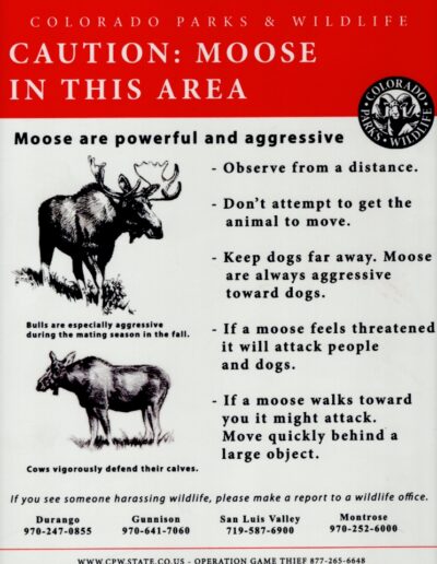 Moose warning sign. Blog post has details